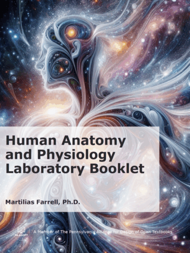 Cover of Human Anatomy and Physiology Laboratory Booklet